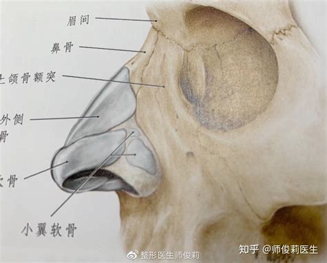 白虎片 鼻根位置